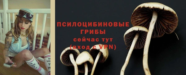 амф Арсеньев