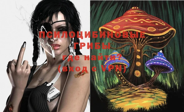 мет Баксан