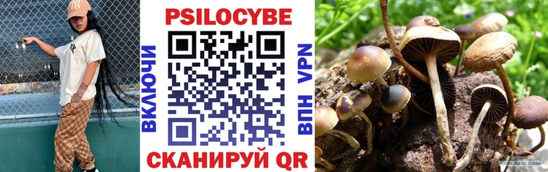 Галлюциногенные грибы GOLDEN TEACHER  как найти закладки  МЕГА онион  Катайск 